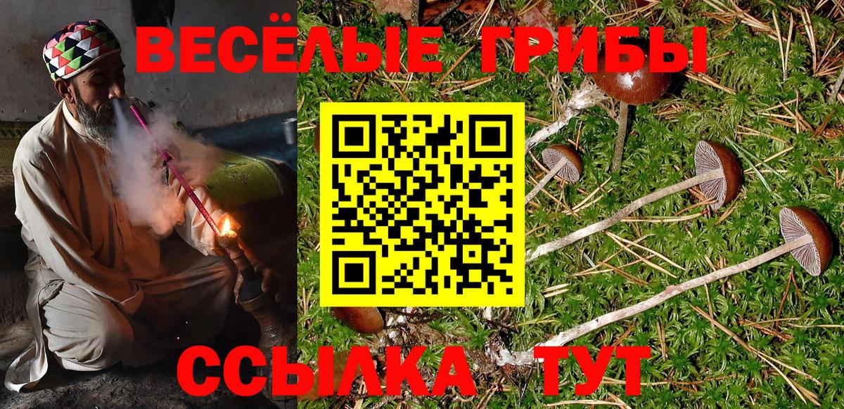 Псилоцибиновые грибы мухоморы Курганинск